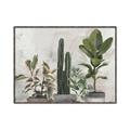 Picture of Plant Group _GroupedProduct_Rectangle_Landscape_Canvas_Framed_