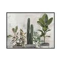 Picture of Plant Group _GroupedProduct_Rectangle_Landscape_Canvas_Framed_