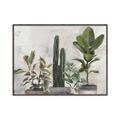 Picture of Plant Group _GroupedProduct_Rectangle_Landscape_Canvas_Framed_