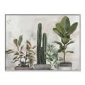 Picture of Plant Group _GroupedProduct_Rectangle_Landscape_Canvas_Framed_