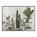 Picture of Plant Group _GroupedProduct_Rectangle_Landscape_Canvas_Framed_