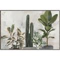 Picture of Plant Group _GroupedProduct_Rectangle_Landscape_Canvas_Framed_
