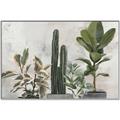 Picture of Plant Group _GroupedProduct_Rectangle_Landscape_Canvas_Framed_