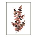 Picture of Rust Color Eucalyptus I  _GroupedProduct_Rectangle_Portrait_Canvas_Framed_