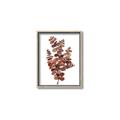 Picture of Rust Color Eucalyptus II  _GroupedProduct_Rectangle_Portrait_Canvas_Framed_