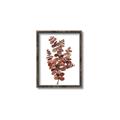 Picture of Rust Color Eucalyptus II  _GroupedProduct_Rectangle_Portrait_Canvas_Framed_