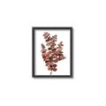 Picture of Rust Color Eucalyptus II  _GroupedProduct_Rectangle_Portrait_Canvas_Framed_