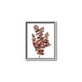 Picture of Rust Color Eucalyptus II  _GroupedProduct_Rectangle_Portrait_Canvas_Framed_