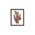 Picture of Rust Color Eucalyptus II  _GroupedProduct_Rectangle_Portrait_Canvas_Framed_