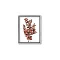 Picture of Rust Color Eucalyptus II  _GroupedProduct_Rectangle_Portrait_Canvas_Framed_
