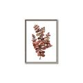Picture of Rust Color Eucalyptus II  _GroupedProduct_Rectangle_Portrait_Canvas_Framed_