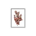 Picture of Rust Color Eucalyptus II  _GroupedProduct_Rectangle_Portrait_Canvas_Framed_