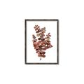 Picture of Rust Color Eucalyptus II  _GroupedProduct_Rectangle_Portrait_Canvas_Framed_