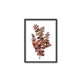 Picture of Rust Color Eucalyptus II  _GroupedProduct_Rectangle_Portrait_Canvas_Framed_