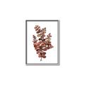Picture of Rust Color Eucalyptus II  _GroupedProduct_Rectangle_Portrait_Canvas_Framed_