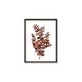 Picture of Rust Color Eucalyptus II  _GroupedProduct_Rectangle_Portrait_Canvas_Framed_