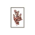 Picture of Rust Color Eucalyptus II  _GroupedProduct_Rectangle_Portrait_Canvas_Framed_