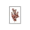 Picture of Rust Color Eucalyptus II  _GroupedProduct_Rectangle_Portrait_Canvas_Framed_