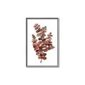 Picture of Rust Color Eucalyptus II  _GroupedProduct_Rectangle_Portrait_Canvas_Framed_