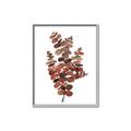 Picture of Rust Color Eucalyptus II  _GroupedProduct_Rectangle_Portrait_Canvas_Framed_
