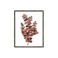 Picture of Rust Color Eucalyptus II  _GroupedProduct_Rectangle_Portrait_Canvas_Framed_