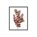 Picture of Rust Color Eucalyptus II  _GroupedProduct_Rectangle_Portrait_Canvas_Framed_
