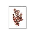 Picture of Rust Color Eucalyptus II  _GroupedProduct_Rectangle_Portrait_Canvas_Framed_