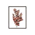 Picture of Rust Color Eucalyptus II  _GroupedProduct_Rectangle_Portrait_Canvas_Framed_