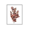 Picture of Rust Color Eucalyptus II  _GroupedProduct_Rectangle_Portrait_Canvas_Framed_