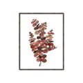 Picture of Rust Color Eucalyptus II  _GroupedProduct_Rectangle_Portrait_Canvas_Framed_