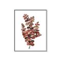 Picture of Rust Color Eucalyptus II  _GroupedProduct_Rectangle_Portrait_Canvas_Framed_