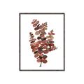 Picture of Rust Color Eucalyptus II  _GroupedProduct_Rectangle_Portrait_Canvas_Framed_