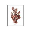 Picture of Rust Color Eucalyptus II  _GroupedProduct_Rectangle_Portrait_Canvas_Framed_