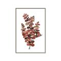 Picture of Rust Color Eucalyptus II  _GroupedProduct_Rectangle_Portrait_Canvas_Framed_