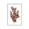 Picture of Rust Color Eucalyptus II  _GroupedProduct_Rectangle_Portrait_Canvas_Framed_