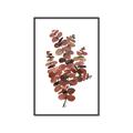 Picture of Rust Color Eucalyptus II  _GroupedProduct_Rectangle_Portrait_Canvas_Framed_