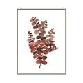 Picture of Rust Color Eucalyptus II  _GroupedProduct_Rectangle_Portrait_Canvas_Framed_