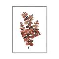 Picture of Rust Color Eucalyptus II  _GroupedProduct_Rectangle_Portrait_Canvas_Framed_