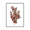Picture of Rust Color Eucalyptus II  _GroupedProduct_Rectangle_Portrait_Canvas_Framed_