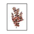 Picture of Rust Color Eucalyptus II  _GroupedProduct_Rectangle_Portrait_Canvas_Framed_