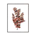 Picture of Rust Color Eucalyptus II  _GroupedProduct_Rectangle_Portrait_Canvas_Framed_