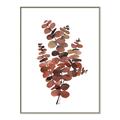 Picture of Rust Color Eucalyptus II  _GroupedProduct_Rectangle_Portrait_Canvas_Framed_