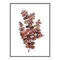 Picture of Rust Color Eucalyptus II  _GroupedProduct_Rectangle_Portrait_Canvas_Framed_