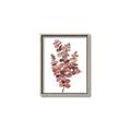 Picture of Pink Color Eucalyptus II _GroupedProduct_Rectangle_Portrait_Canvas_Framed_
