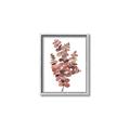 Picture of Pink Color Eucalyptus II _GroupedProduct_Rectangle_Portrait_Canvas_Framed_