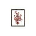 Picture of Pink Color Eucalyptus II _GroupedProduct_Rectangle_Portrait_Canvas_Framed_