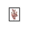 Picture of Pink Color Eucalyptus II _GroupedProduct_Rectangle_Portrait_Canvas_Framed_