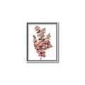 Picture of Pink Color Eucalyptus II _GroupedProduct_Rectangle_Portrait_Canvas_Framed_