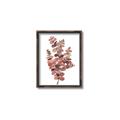 Picture of Pink Color Eucalyptus II _GroupedProduct_Rectangle_Portrait_Canvas_Framed_