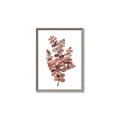 Picture of Pink Color Eucalyptus II _GroupedProduct_Rectangle_Portrait_Canvas_Framed_